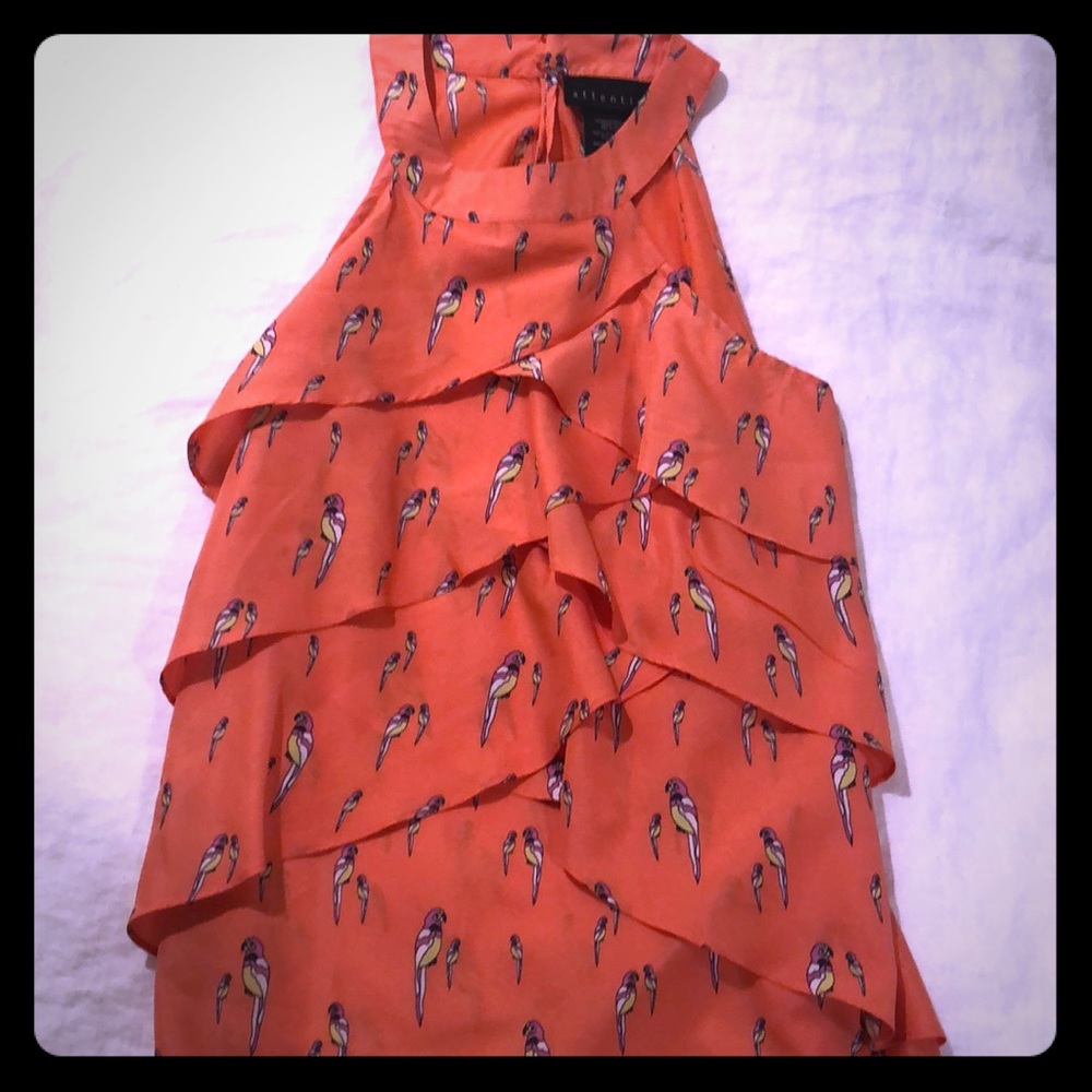 Parakeet sleeveless blouse